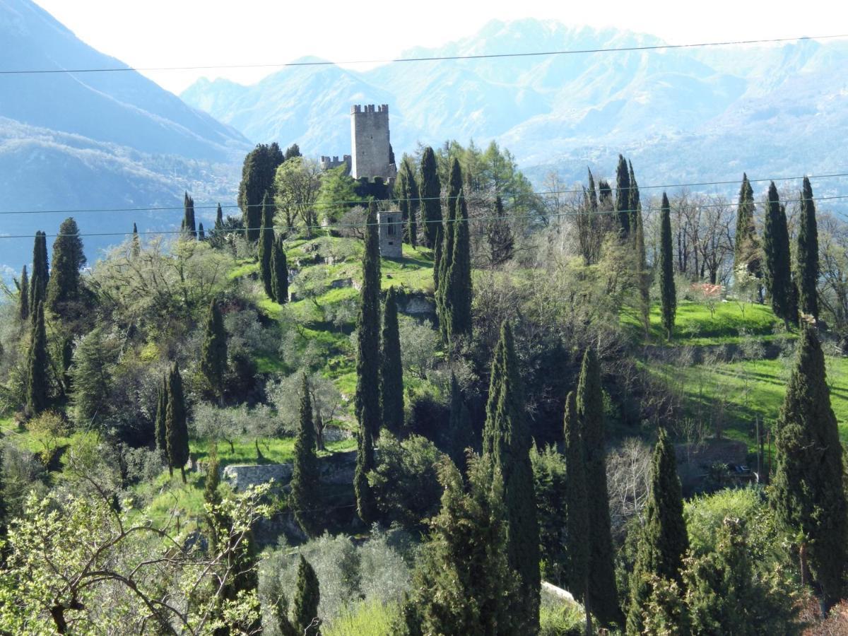Vezio Hill House Διαμέρισμα Perledo Εξωτερικό φωτογραφία